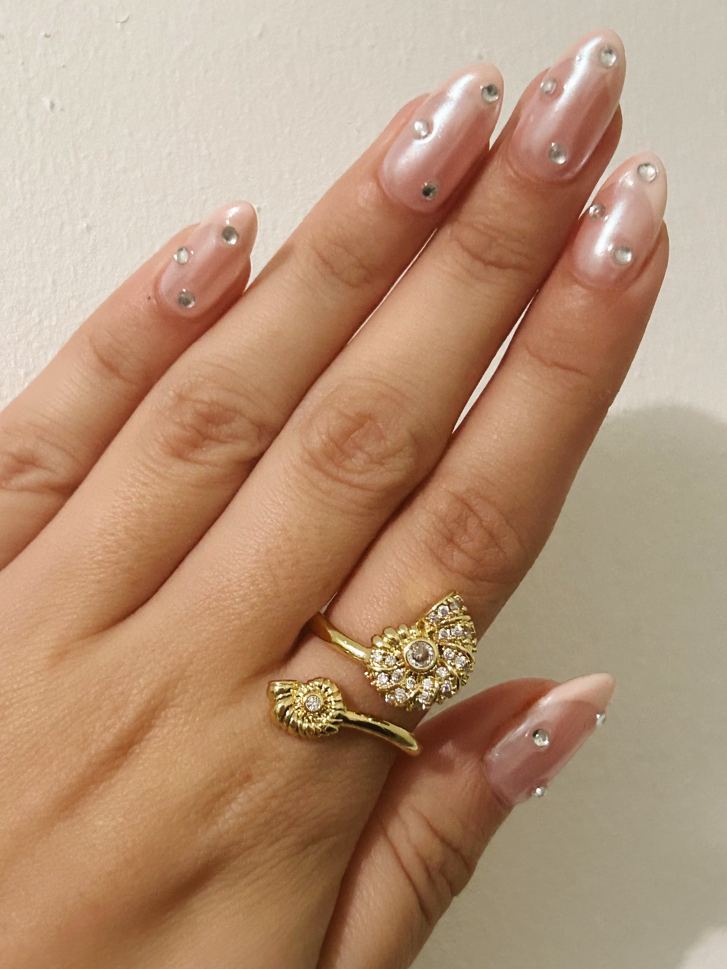 Shell Ring