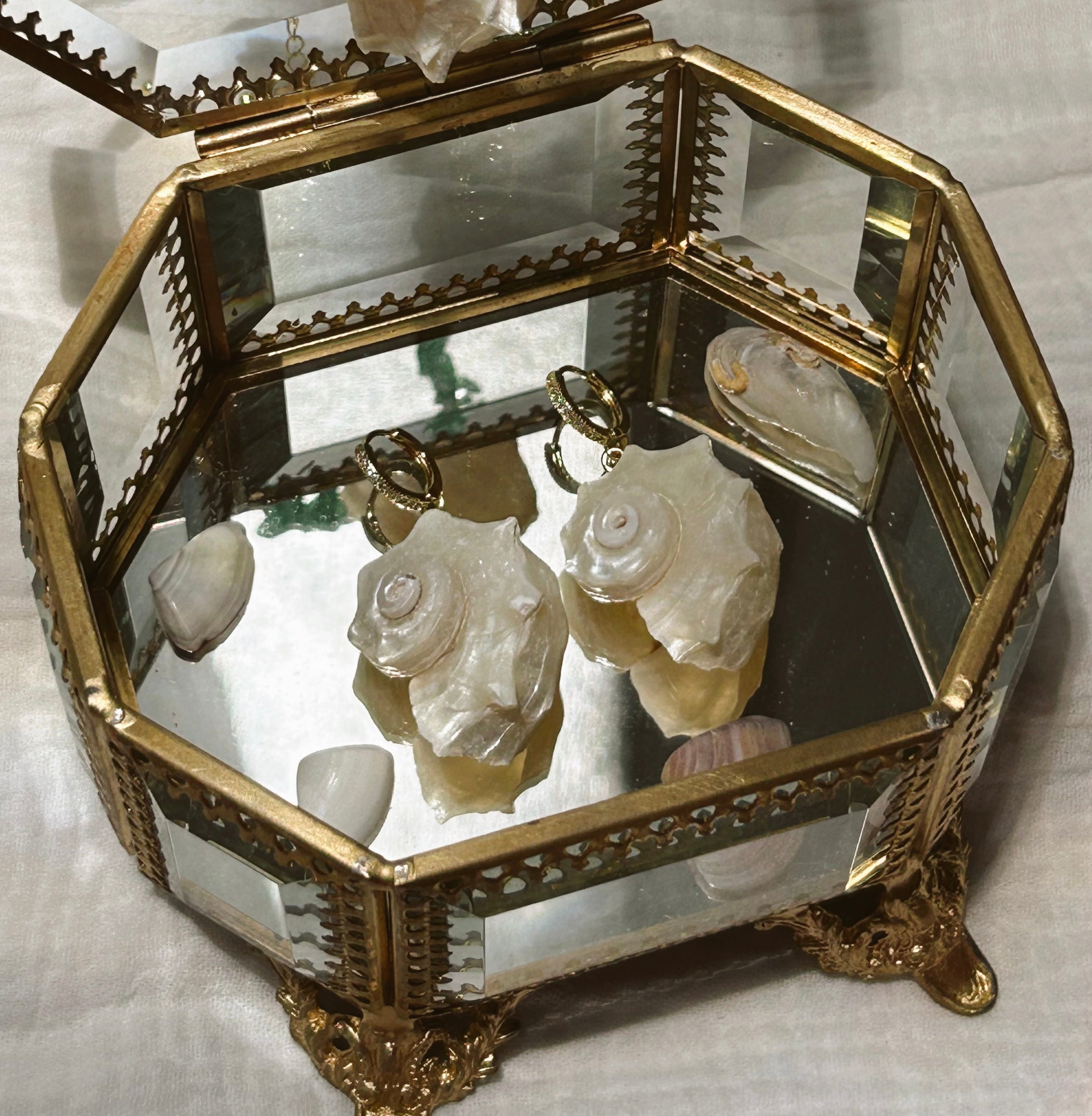 Sirenita Shell Earrings